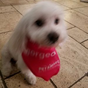 Meet your Posher, Christina